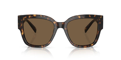 Lentes De Sol Versace VE4437-U Carey