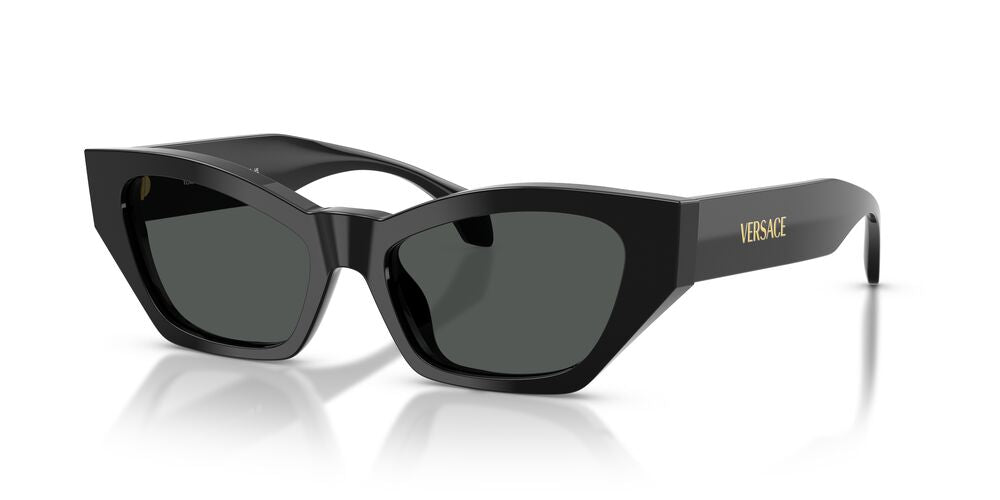 Lentes De Sol Versace VE4488-U Negro