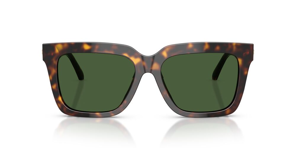 Lentes De Sol Versace VE4498 Carey