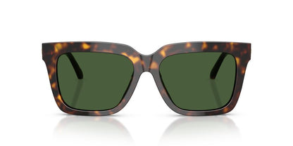 Lentes De Sol Versace VE4498 Carey