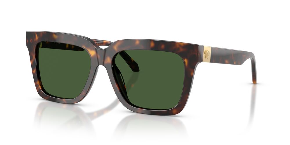 Lentes De Sol Versace VE4498 Carey