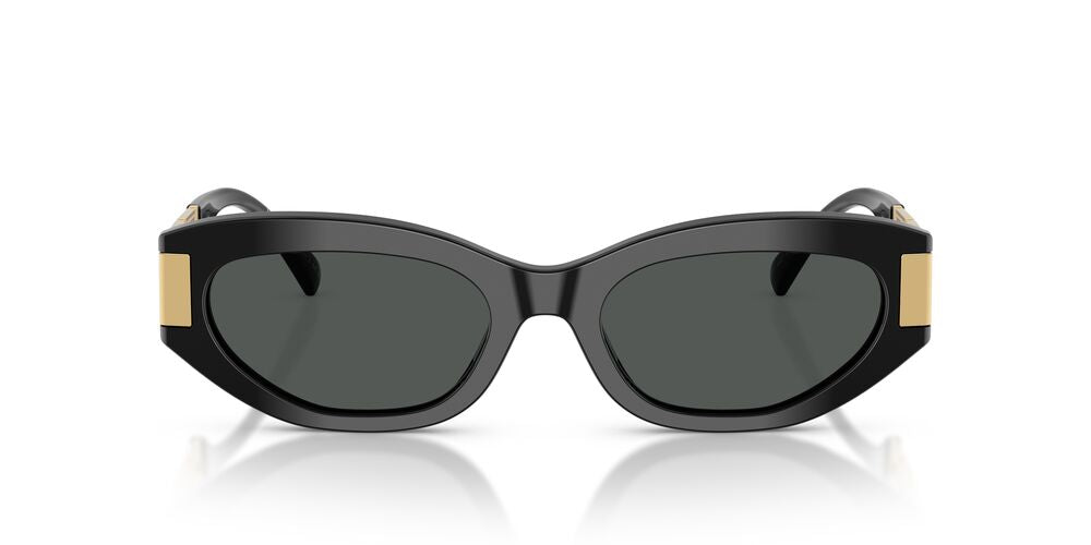 Lentes De Sol Versace VE4501 Negro