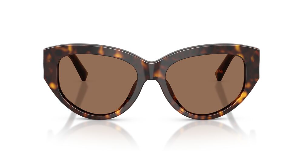Lentes De Sol Dolce & Gabbana DG4514 Carey