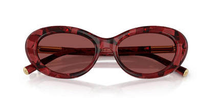 Lentes De Sol Dolce & Gabbana DG4519 Carey/Rojo