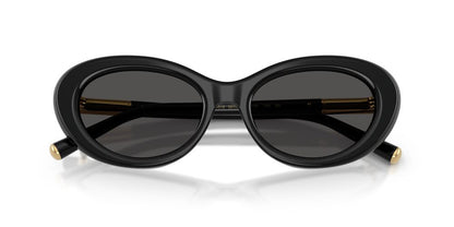 Lentes De Sol Dolce & Gabbana DG4519 Negro