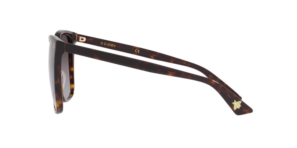 Lentes De Sol Gucci GG0022S Carey
