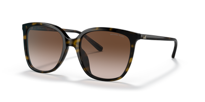 Lentes De Sol Michael Kors MK2137U Carey