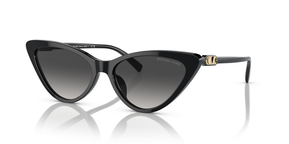 Lentes De Sol Michael Kors MK2195U Negro