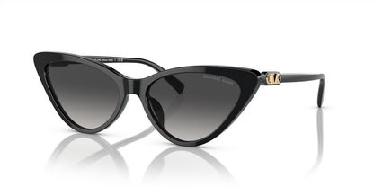 Lentes De Sol Michael Kors MK2195U Negro