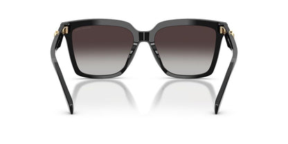 Lentes De Sol Michael Kors MK2256U Negro