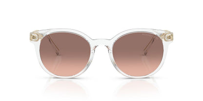 Lentes De Sol Michael Kors MK2264U Transparente