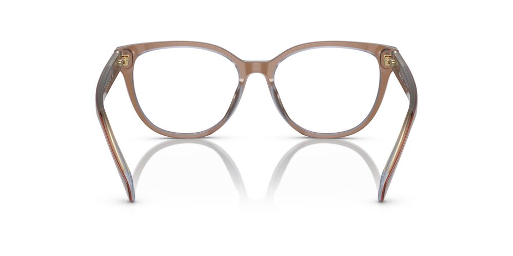 Lentes Oftálmicos Ralph RA7153 Cafe/Azul Transp