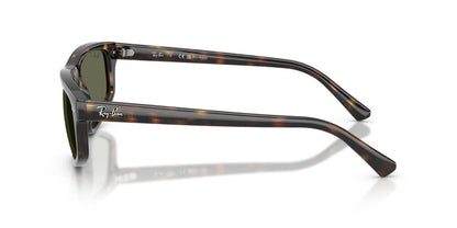 Lentes De Sol Ray-Ban RB2225 Carey