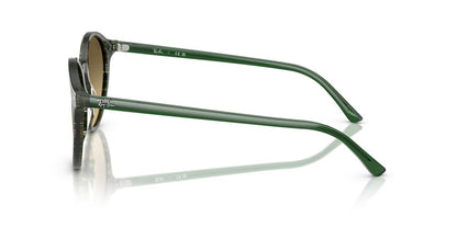 Lentes De Sol Ray-Ban RB2230 Verde