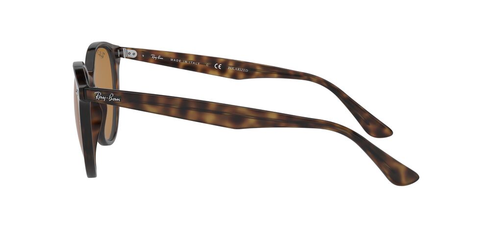 Lentes De Sol Ray-Ban RB4305 Carey