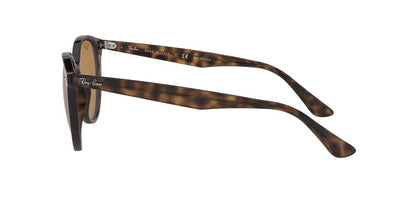 Lentes De Sol Ray-Ban RB4305 Carey
