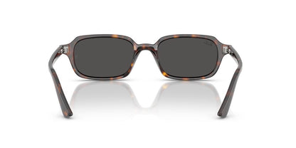 Lentes De Sol Ray-Ban RB4455 Carey