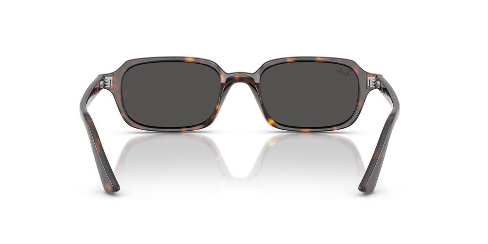 Lentes De Sol Ray-Ban RB4455 Carey