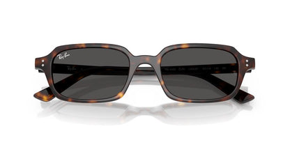 Lentes De Sol Ray-Ban RB4455 Carey