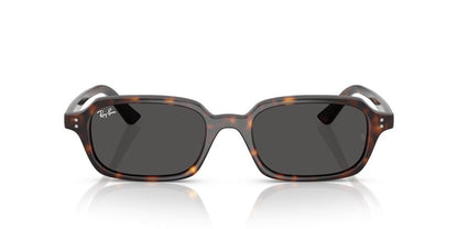 Lentes De Sol Ray-Ban RB4455 Carey