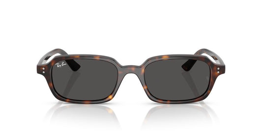 Lentes De Sol Ray-Ban RB4455 Carey