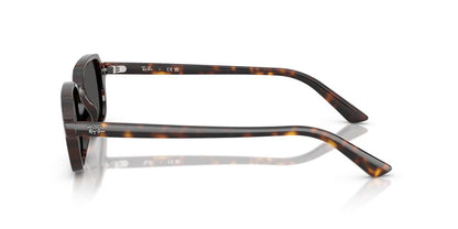 Lentes De Sol Ray-Ban RB4455 Carey