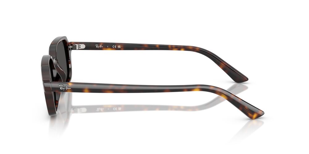 Lentes De Sol Ray-Ban RB4455 Carey