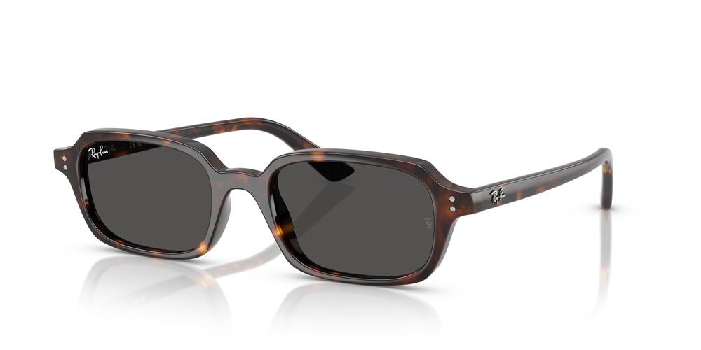 Lentes De Sol Ray-Ban RB4455 Carey