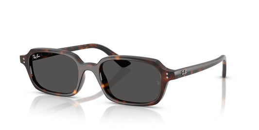 Lentes De Sol Ray-Ban RB4455 Carey
