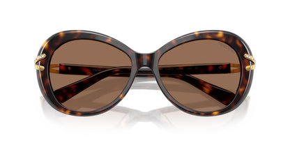 Lentes De Sol Swarovski SK6026 Carey