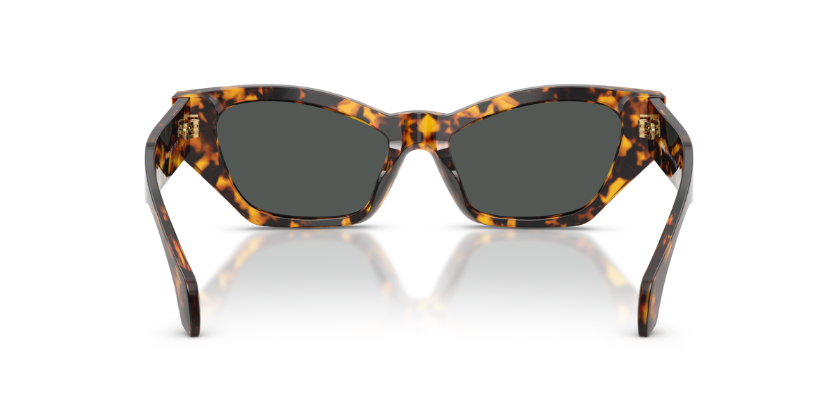 Lentes De Sol Versace VE4488-U Carey