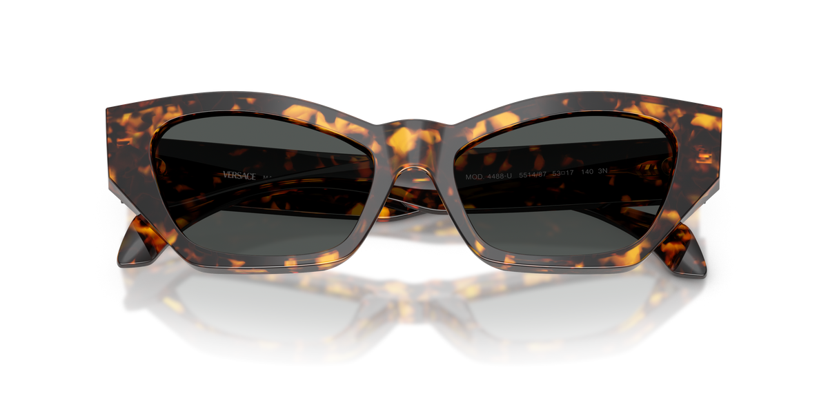 Lentes De Sol Versace VE4488-U Carey