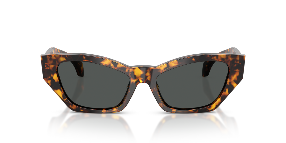 Lentes De Sol Versace VE4488-U Carey