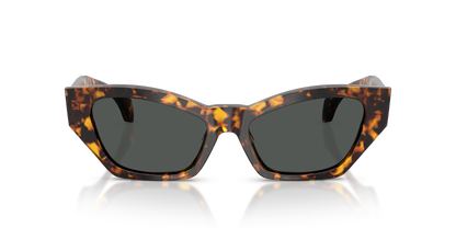 Lentes De Sol Versace VE4488-U Carey