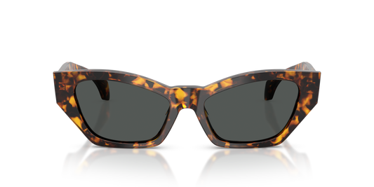 Lentes De Sol Versace VE4488-U Carey