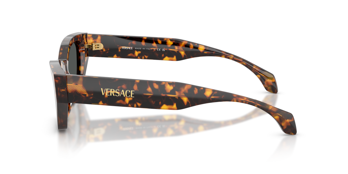 Lentes De Sol Versace VE4488-U Carey