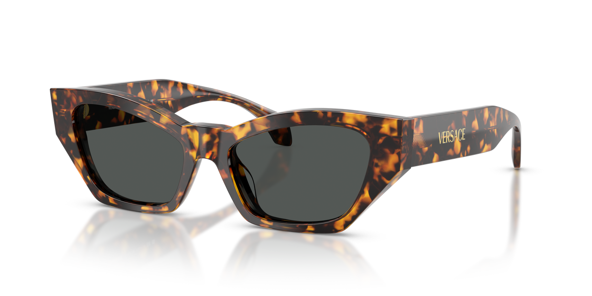 Lentes De Sol Versace VE4488-U Carey