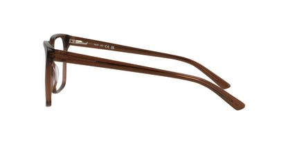 Lentes Oftálmicos Dbyd DB2138 Cafe Transparente
