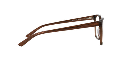 Lentes Oftálmicos Dbyd DB2138 Cafe Transparente