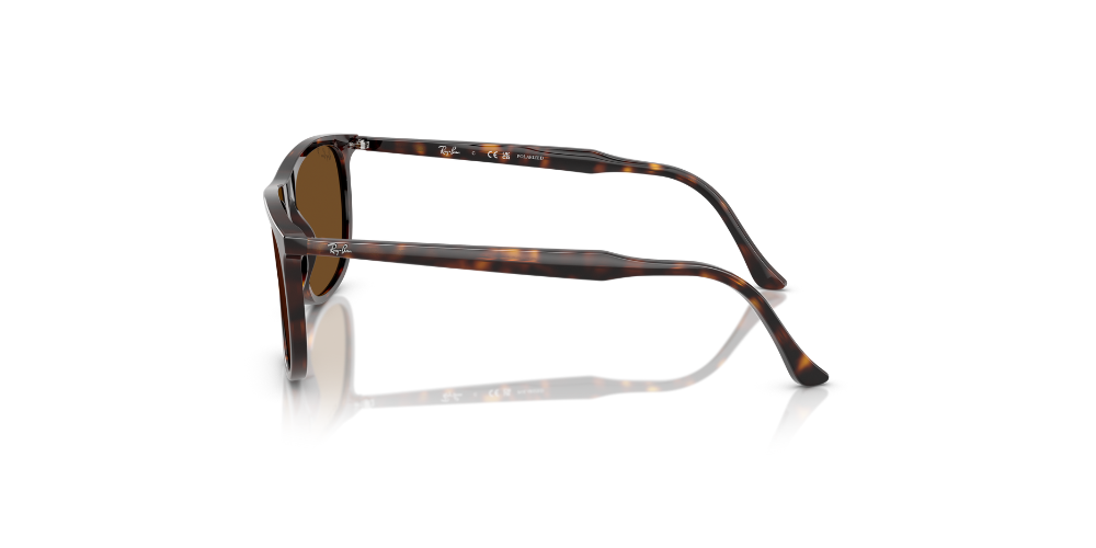 Lentes De Sol Ray-Ban RB2216 Carey