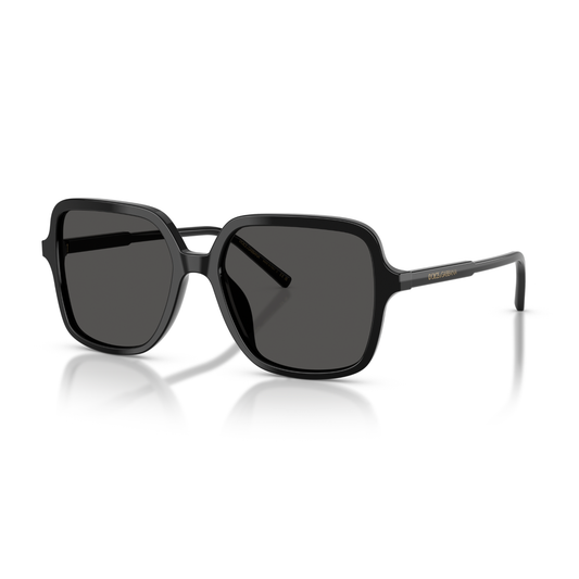 LENTES De Sol Dolce & Gabbana DG4539 Negro