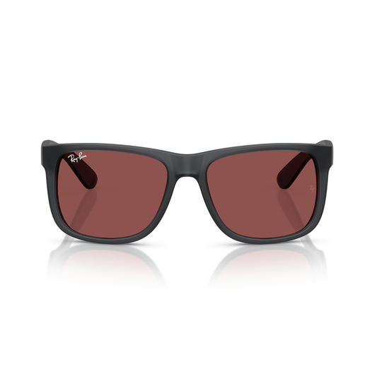 Lentes De Sol Ray-Ban RB4165 Gris
