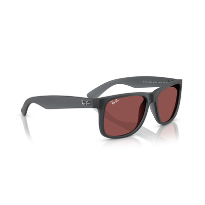 Lentes De Sol Ray-Ban RB4165 Gris