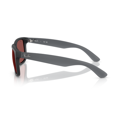Lentes De Sol Ray-Ban RB4165 Gris