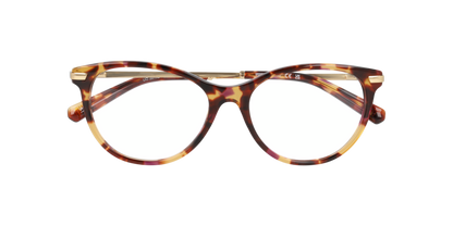Lentes Oftálmicos Extraoficial UO2219B Carey/Dorado