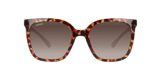 Lentes De Sol Unofficial UO6208B Carey/Purpura