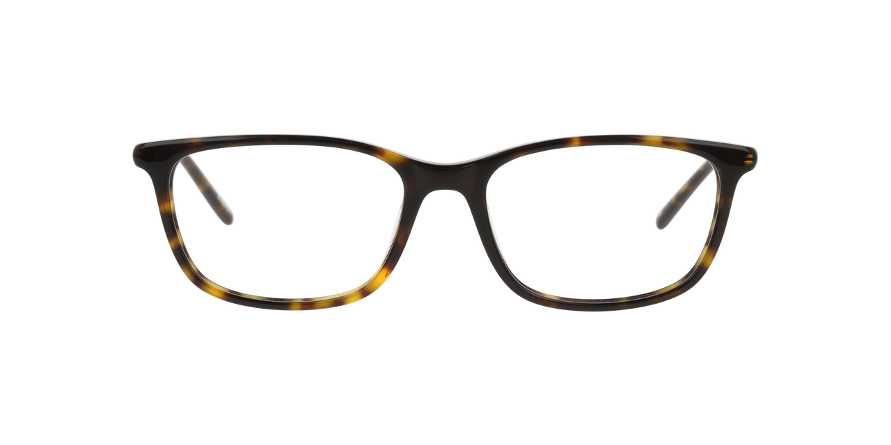 Lentes Oftálmicos Dbyd DB2106 Carey