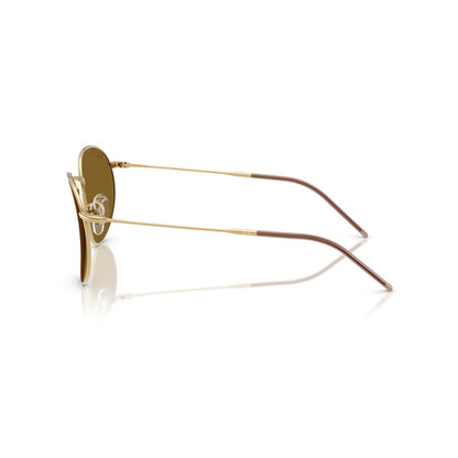 Lentes De Sol Ray-Ban RBR0103S Dorado