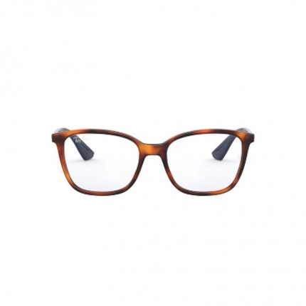 Ray-Ban  RX7066