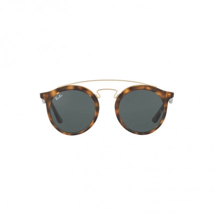 Ray-Ban RB4256